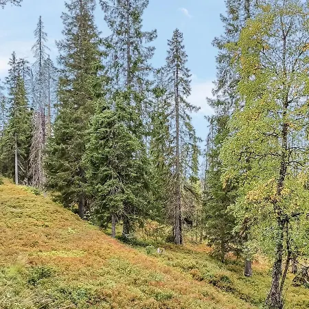 Nyaraló Karhunvartijan Pirtti C 2 By Interhome Ruka